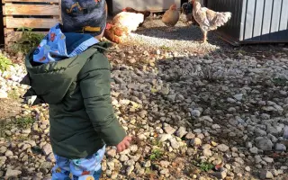 Pomoc pro tři statečné a úžasné děti a jejich maminku
