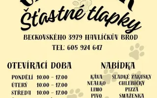 Pojďme dát kočičkám druhou šanci, obnovme kočičí kavárnu café & bar Šťastné tlapky