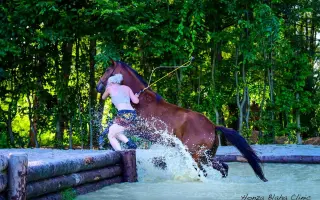 Asistenční pes, který mi pomůže žít, ne jen přežívat