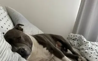 Arískovi jsou teprve 4 roky, pomozme mu v boji s rakovinou
