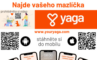Yaga – najde vašeho mazlíčka