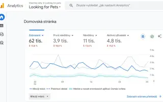 Pomáháme opuštěným a týraným psům najít cestu domů 🩷