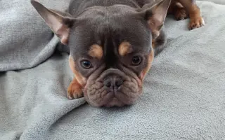 Pomozte Jasmínce běhat bez bolesti ❤️