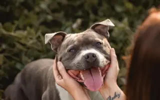 Arískovi jsou teprve 4 roky, pomozme mu v boji s rakovinou