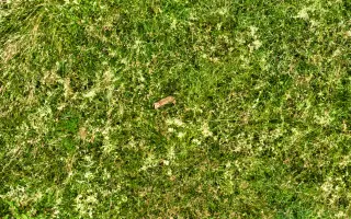 Šance pro mláďata divoce žijící zvěře