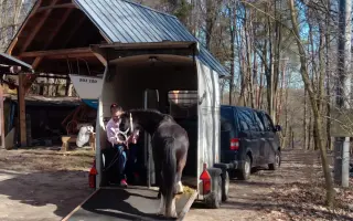 Nový kůň do hiporehabilitačního týmu