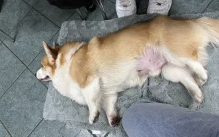 Pomozme Aloiskovi znovu chodit