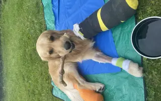 Kroky, které nebolí: Mauriho 4.bitva