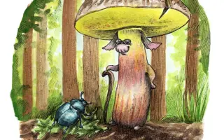 Podpořte KOLODĚJE - houbové hrdiny