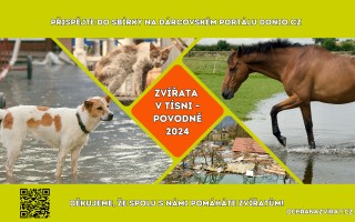 ZVÍŘATA V TÍSNI – POVODNĚ 2024