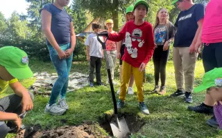 Adventní sbírka pro Krtka 2025