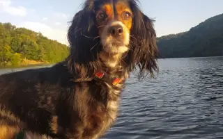 Shamy bouje s bolestí. Pomozme jí prožít stáří důstojně