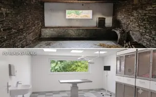 Pomoc zraněným, nemocným a týraným kočkám.