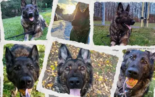 Léčba, která nekončí - Fůrie