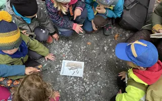 Oprava komínu pro lesní školku Machanka