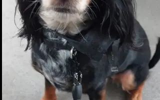 Shamy bouje s bolestí. Pomozme jí prožít stáří důstojně