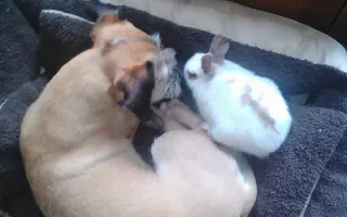 MIKY, vždy zachraňovala nyní potřebuje sama zachránit