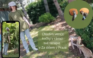 Podpořte vydání knihy Mami, kočky a autisty nepředěláš
