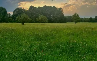 Dron pro život - záchrana srnčat a dalších mláďat