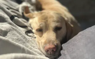 Pomozme Timmymu znovu stát na vlastních nohách.