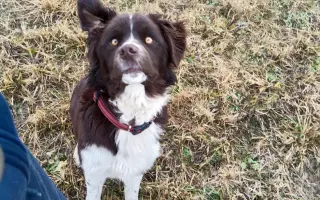 Pomozte Lokimu žít plnohodnotný život