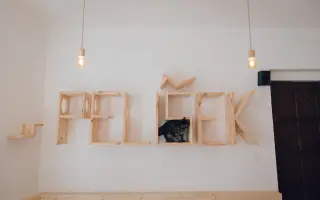 Ať se dočká každá kočka