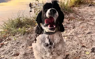 🐾 Pomozme Dubínkovi vyhrát svůj boj