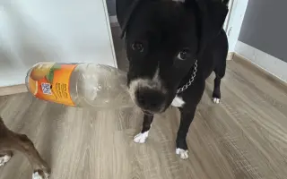 Pomoc pro Jessi na magnetickou rezonanci