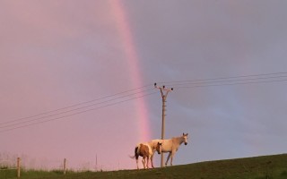 Podpořte program OUT:HERE Queer Šumava 2025