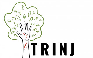 TRINJ - online platforma pro sběr a analýzu dat o zraněních stromolezců