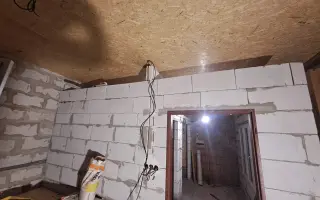 Postavme společně útulek pro kočky a psy