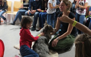 Canisterapie CANTES v krajích ČR jako sociální rehabilitace
