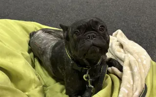 Pomozme Calvinovi zpět na nožičky