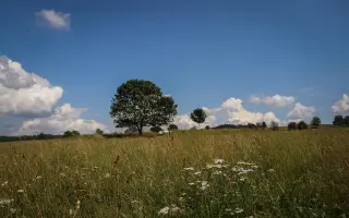 Pomozte vybudovat místo plné života