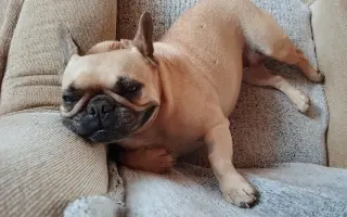 ❤️ Pomoc pro Pú - porazit nádorové onemocnění
