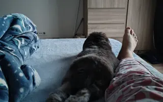 Sbírka pro Míšu