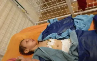 Prosím, pomozte Kačence ulehčit cestu životem