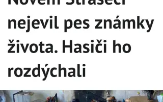 Pomoc pro Silvu Ferkovou a jejího pejska, který naštěstí požár přežil.