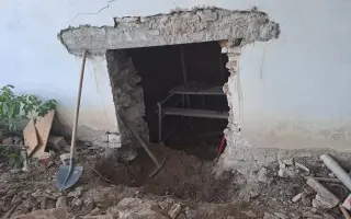 Postavme společně útulek pro kočky a psy