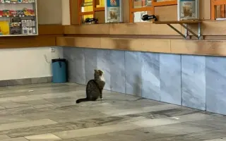 Podpořte vydání unikání knihy MODŘANSKÝ MIKEŠ