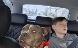 Pomozme Ele opět poznávat svět