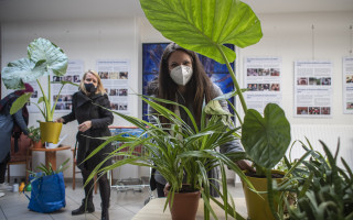 Pošleme společně #rostlinyseniorum - foto: EPA/Martin Divíšek