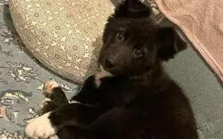 Pomoc pro malinkou Meggie