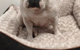 Zachráňte Marilyn bojující s rakovinou