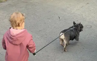 Pomoc pro Mimi