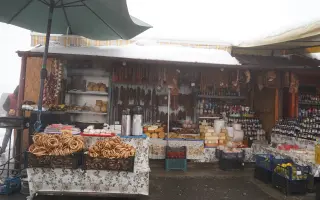 Z nuly zpět za hledáček - aneb nový začátek po velkém pádu