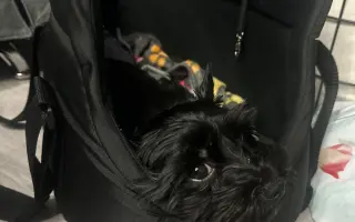 Pro Tobyho na veterinární péči a rehabilitace