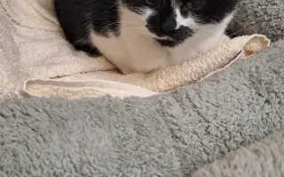 9 nalezených Lásek