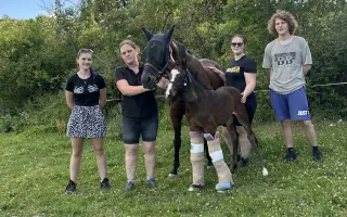 Miracle Joy After Storm ✨🐴