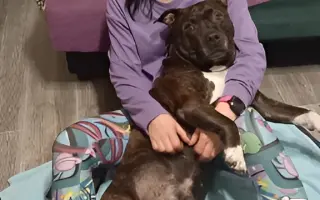 Pomozte Hance zvládnout život s roztroušenou sklerózou